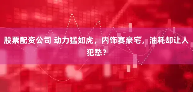 股票配资公司 动力猛如虎，内饰赛豪宅，油耗却让人犯愁？