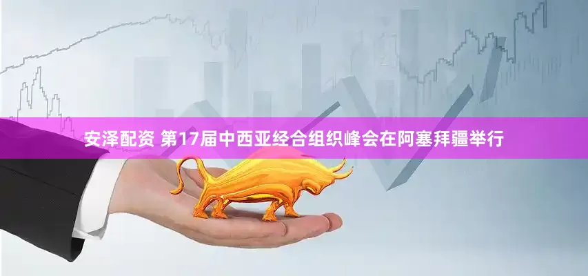 安泽配资 第17届中西亚经合组织峰会在阿塞拜疆举行