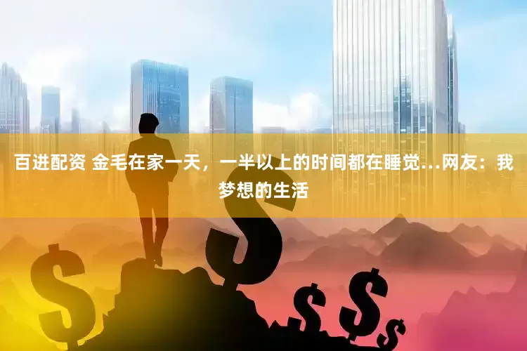 百进配资 金毛在家一天，一半以上的时间都在睡觉…网友：我梦想的生活