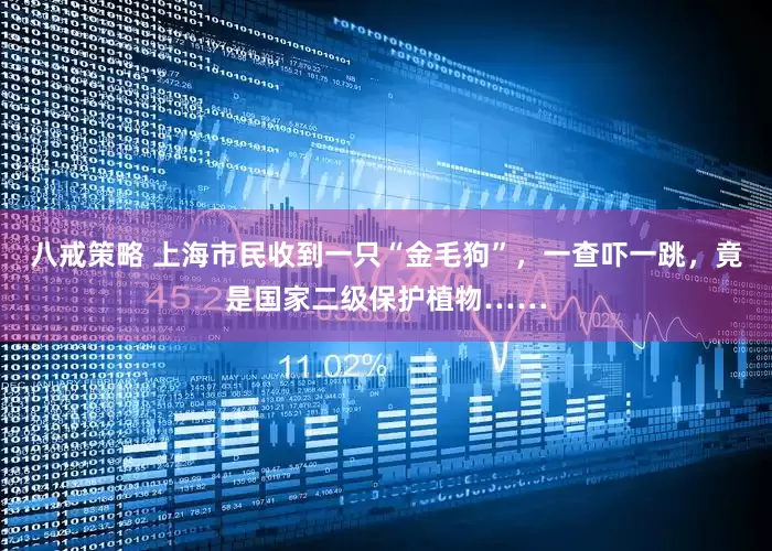 八戒策略 上海市民收到一只“金毛狗”，一查吓一跳，竟是国家二级保护植物……
